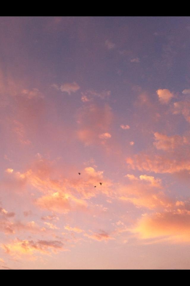 Patty Kennedy's album, Cover Photos