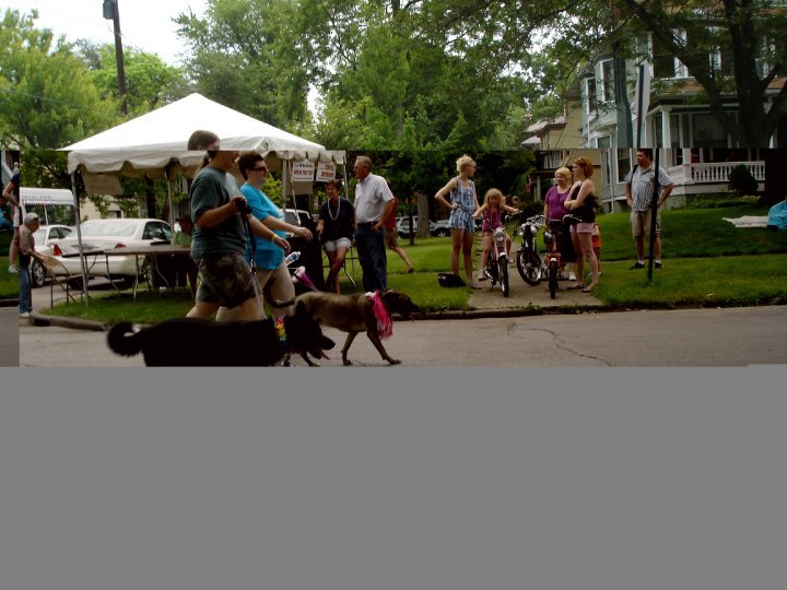 Pat Garver's album, King Wamba Carnival Parade