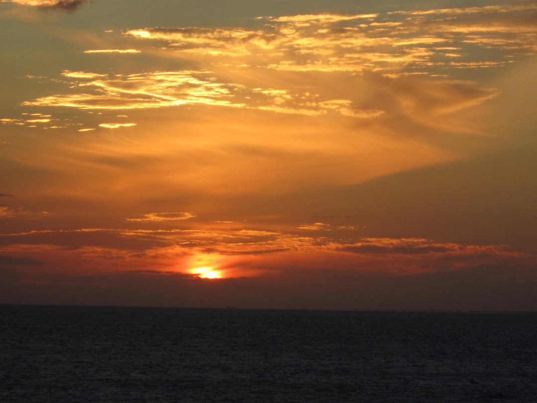 Cyndee McElroy's album, Cruise 2012