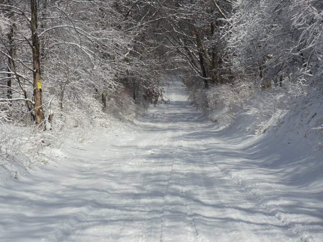 Stephen Aldrich's album, Onsted State Game Preserve / Irish Hills