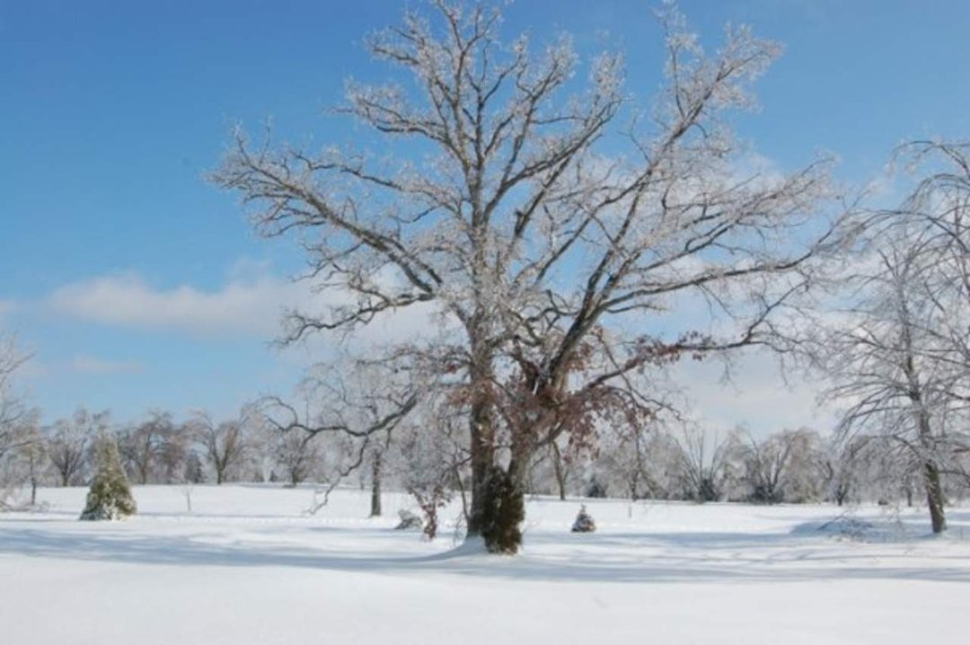 Mike Prather's album, Kentucky Ice Storm 2009
