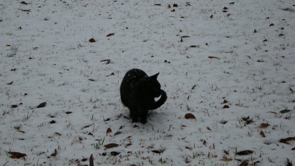 Perry Ballard's album, Snow in Opp Alabama