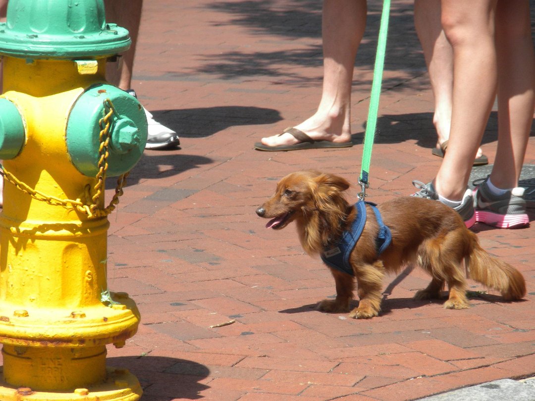 Greg Kelley's album, Saturday at Annapolis June 16 2012