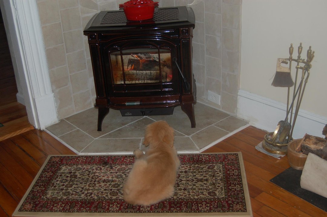 Barbara Greene's album, Baxter