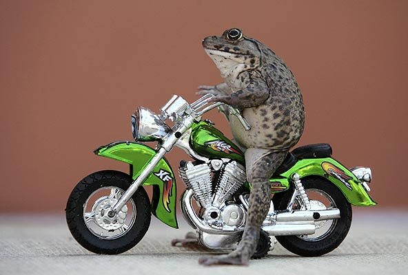 Michael McCoy's album, Cover Photos