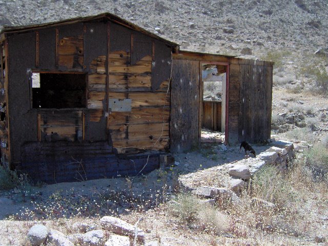 James Bean's album, Desert Buildings