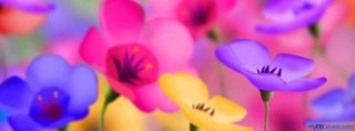 Donna Strumsky's album, Timeline Photos