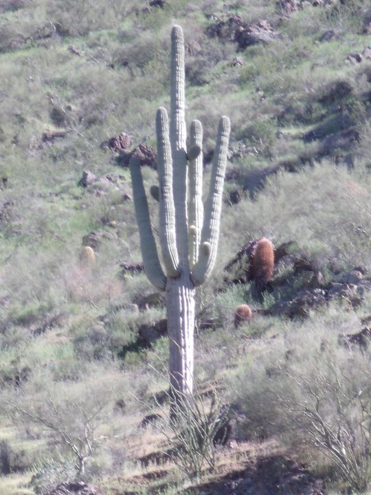 Robert Stevens' album, Picacho_Peak Hike