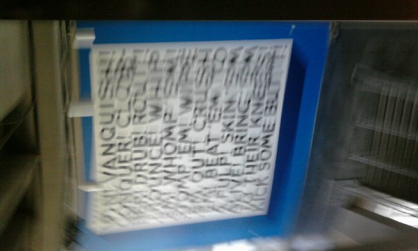Elizabeth Peterson's album, Texas Stadium