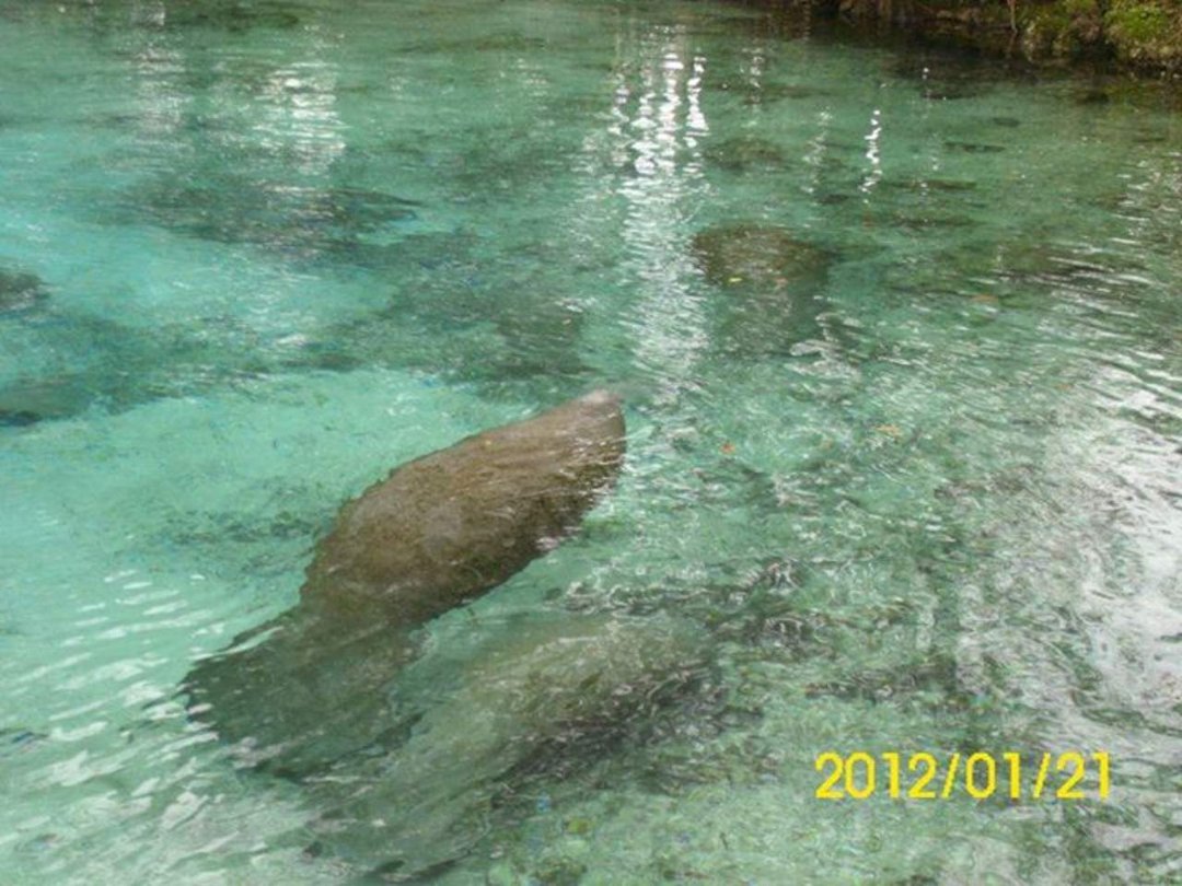Daniel Berry's album, Three Sisters Springs