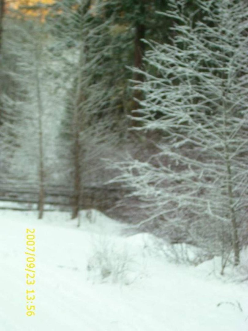 lyn sheridan's album, Leavenworth December 2011