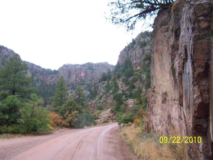 Kathy King's album, Colorado Trip in the fall, Christmas 2010, Gabbies Bday, Spring