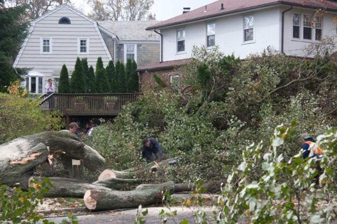 Thomas Bricker's album, Hurricane Sandy Visits the Brickers