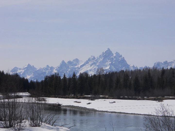 Carol Best Richards' album, Jackson Hole