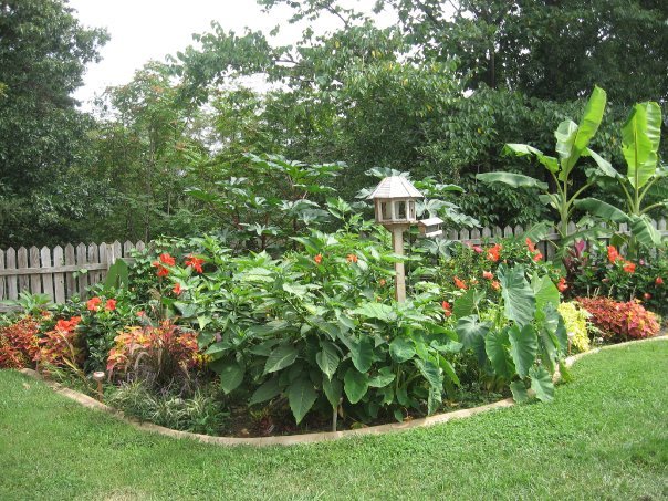Sharon Moore's album, Missing My Garden