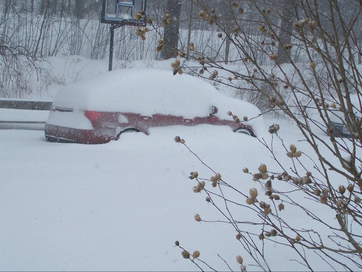 Barbara Ance's album, January 12, 2011