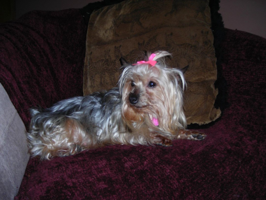 Connie Countryman's album, Sophie's 1st day home