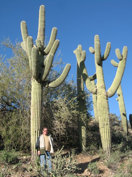 Robert Althouse's album, Profile Pictures
