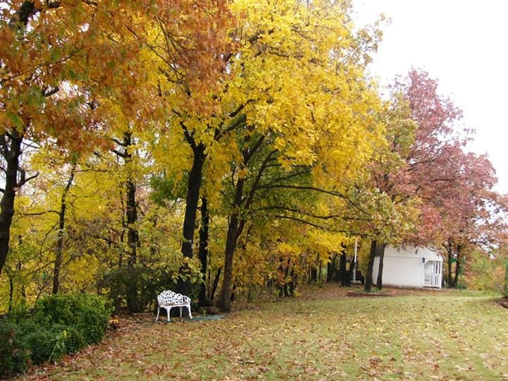 Terry Clark's album, Fall at the Clark house