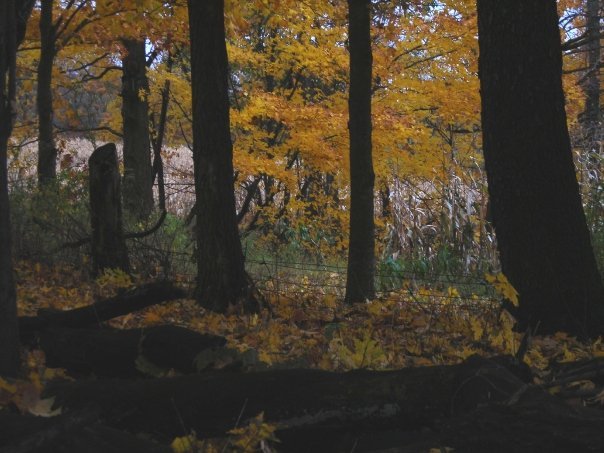 Dave Roughley's album, Photos From The Blind