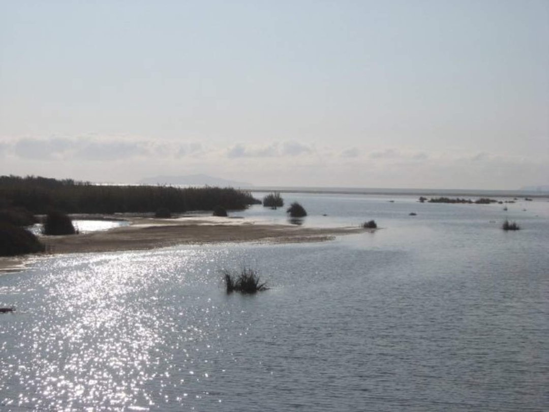 Douglas Mason's album, Mouth of the Santa Clara River in Ventura, CA--December 26, 2009