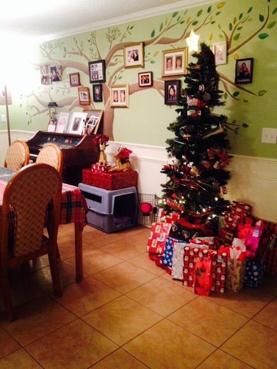 Juli Spruill's album, Mobile Uploads