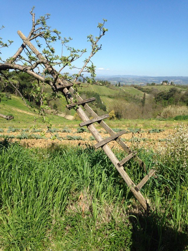 David Friedler's album, iOS Photos