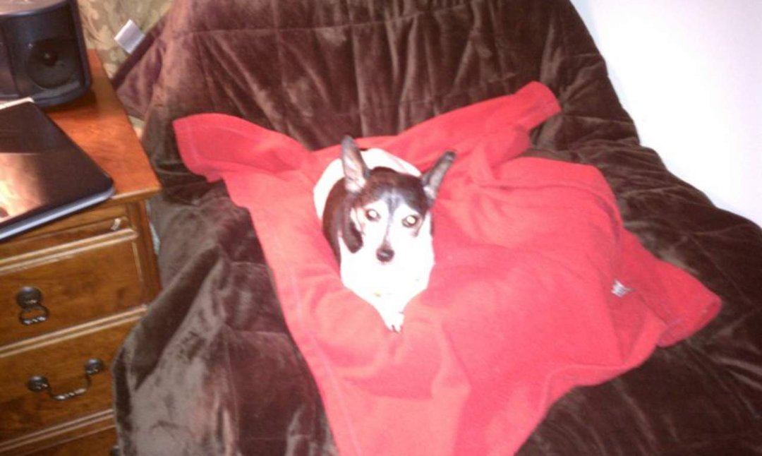 Brenda Cannington's album, Buster Lee Cannington