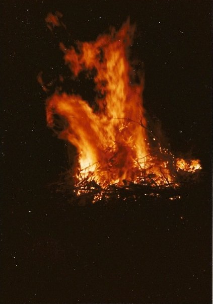 Michael Wasserman's album, Brenner's Mountain 1976 1/2 ...Hoofstock