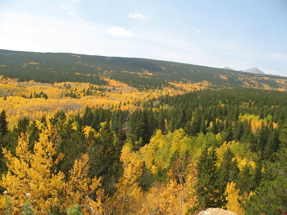 Ray Wampler's album, Fall Colors 2012