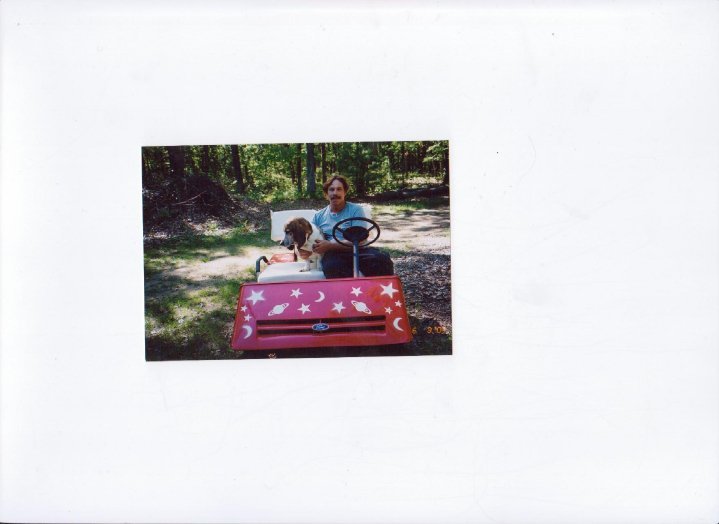 Janet Lampton's album, fb2