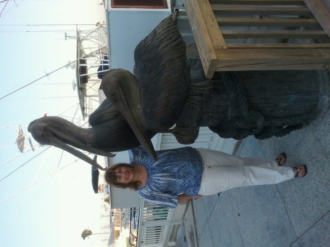 Cindy MacDonough's album, Mobile Uploads