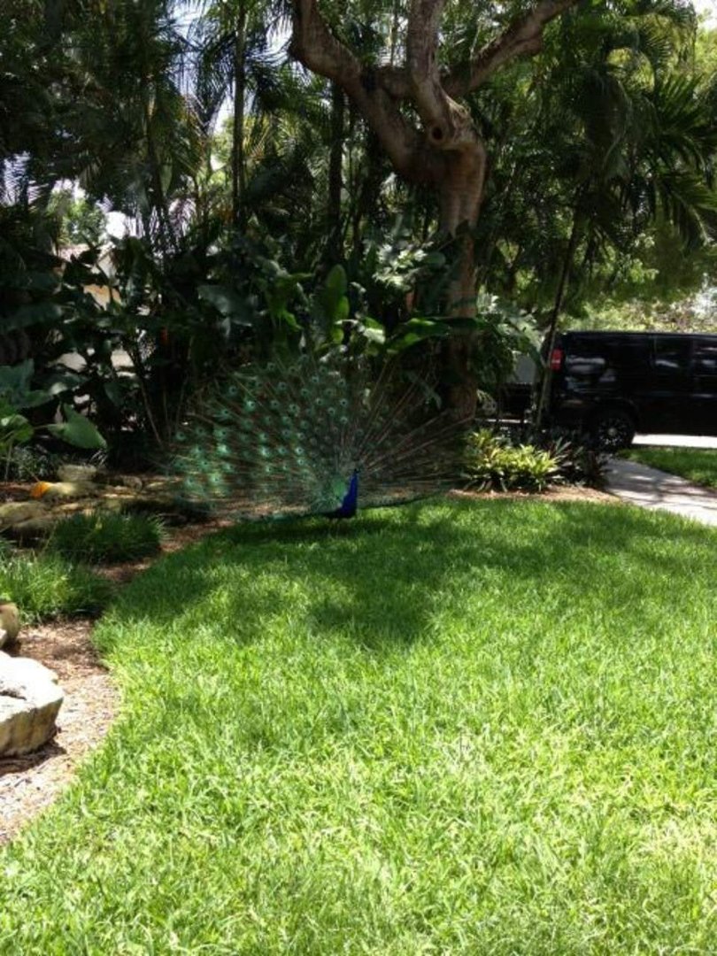 Sherry L. Singer Valenti's album, iOS Photos