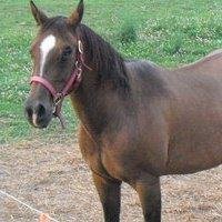 Veronica Byrd's album, Profile Pictures