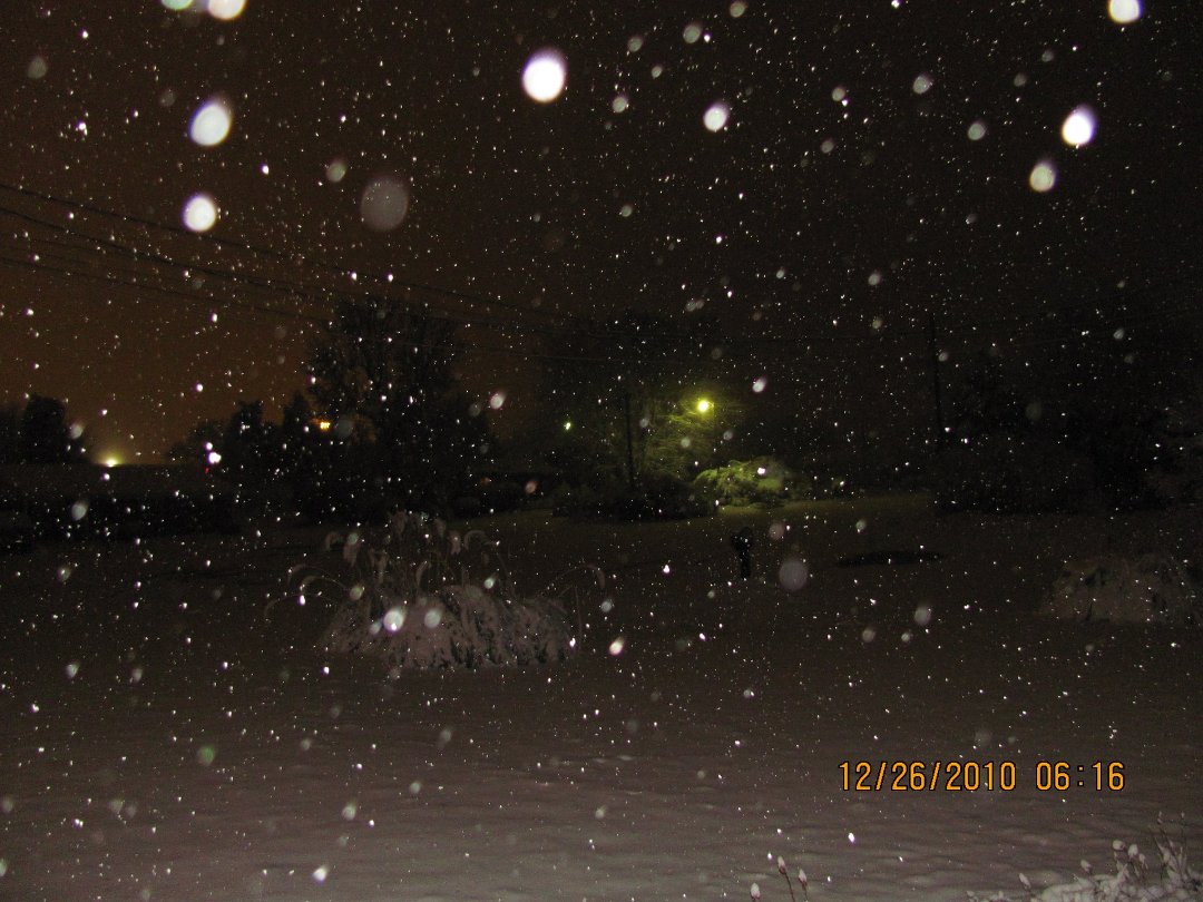 Donna Austin's album, Christmas snow in North Carolina 2010