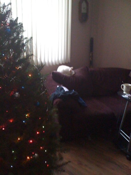 Michaelene Boatwright's album, Christmas 2009