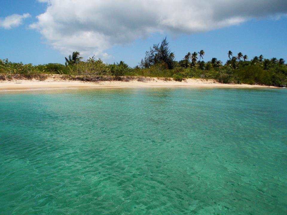 Mina Chamorro's album, Mobile Uploads