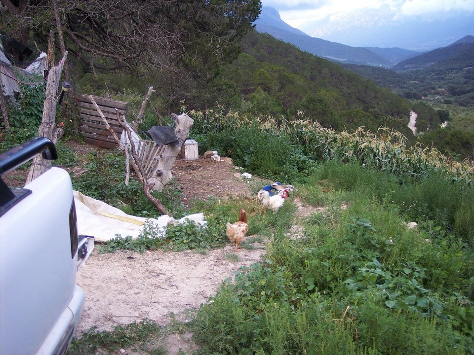 Anna Lee Moss' album, Mexico 2012 and Agua Sufrosas