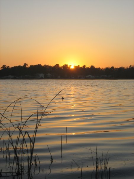 Jerry Brown's album, Eliese's Photos