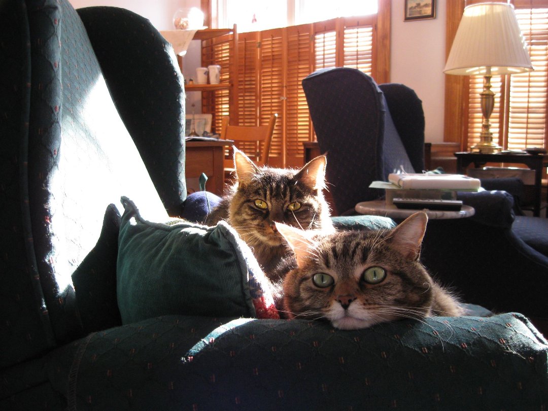 Jane Bourdow's album, Cover Photos