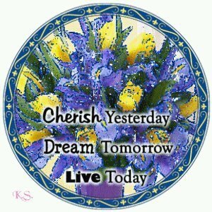 Pamela Nolan's album, Mobile Uploads