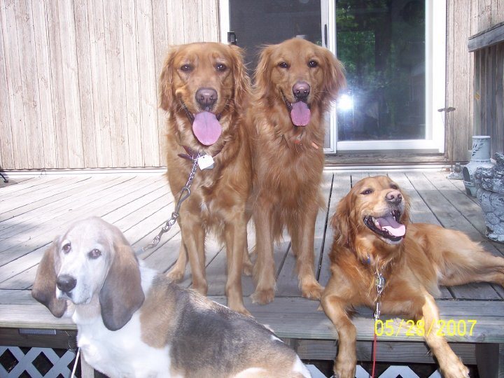 Janet Lampton's album, family