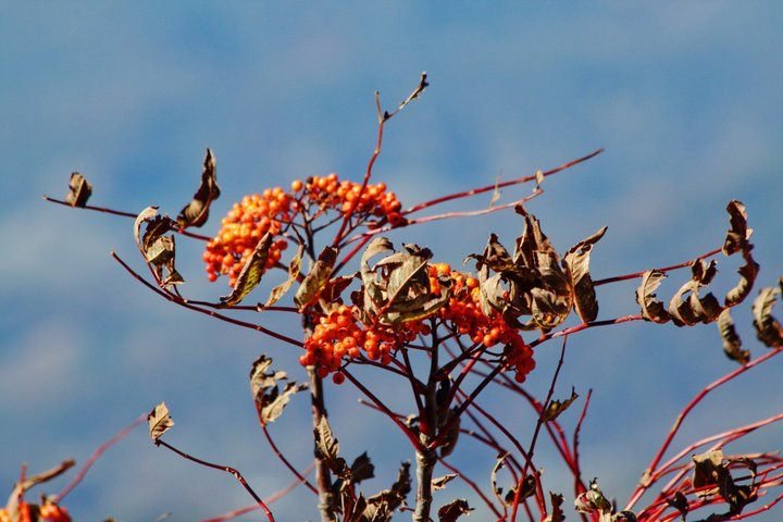 John Turner's album, 2010-10 Blue Ridge Pkwy