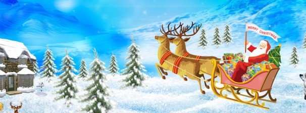 Steve D'amico's album, Cover Photos