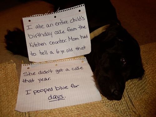 tracy andrus' album, Timeline Photos