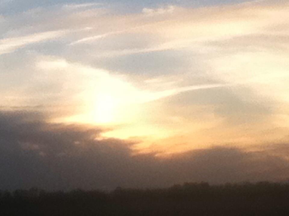 Michael Gannon's album, iOS Photos