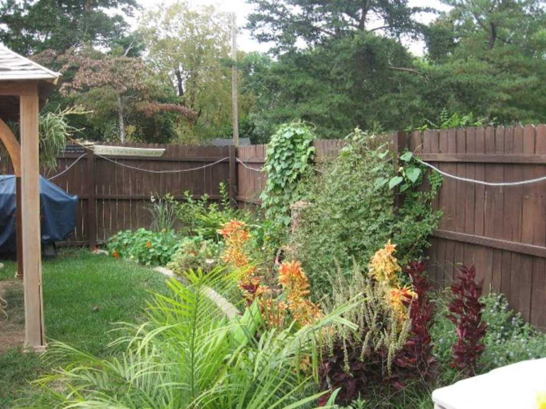 Sharon Moore's album, Missing My Garden