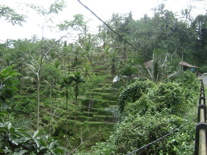 Eric Dougherty's album, bali
