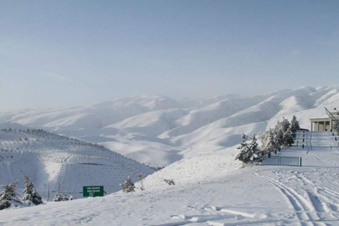 Bill Leaf's album, Snowy Kopet Dag - March 8, 2013