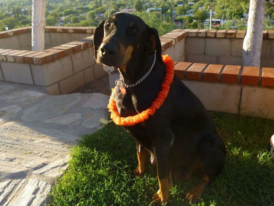 Anabel Gootee's album, EL MIRADOR Imuris,Son,Mexico